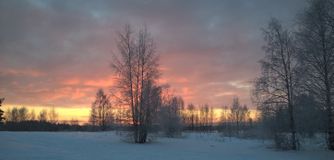 фото: М.Шатов