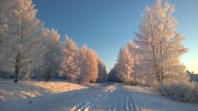 фото: М.Шатов