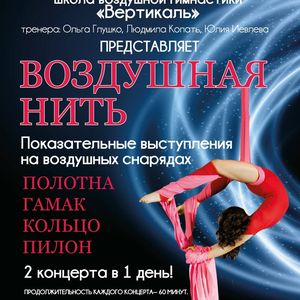 20 мая в 17:00 и 19:00 показательные выступления на воздушных снарядах от  школы "Вертикаль"